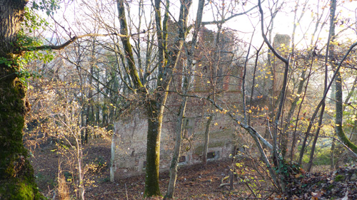 Ruines de Grolle - restes de l'ancien chteau fodal